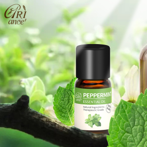 Manufacturer sale Certified Pure Natural Peppermint Essential Oil OEM Custom Body Massage Aromatherapy Essential Oils