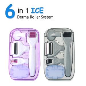 Newest Dermaroller Skin Cooling 6 in 1 Ice roller Derma Roller