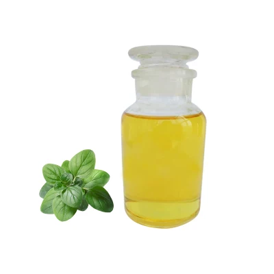 Orangic Skin Care Massage Essential Oil Oregano Oil