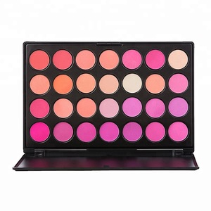 Professional cosmetic pressed 10 color makeup blusher kit waterproof blush