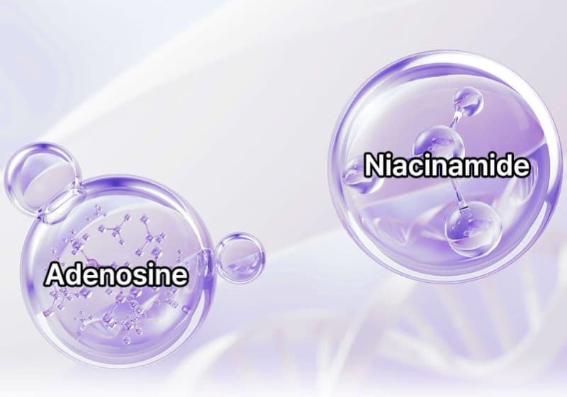 Stem Cell Madecassoside  Essence 