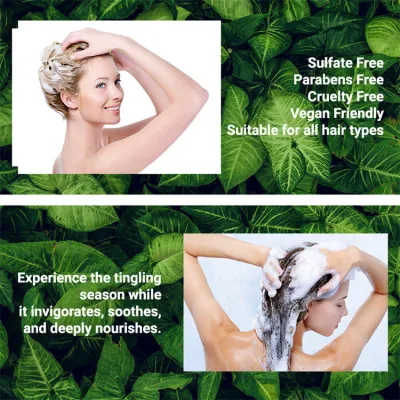 Wholesale Natural Organic Anti-Itching Dangdruff Tea Tree Oil Hair Shampoo and Conditioner Set for Oily Hair Men and Women