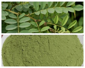 Wholesaler of Hair Dye - Indigofera Tinctoria / Indigo / Black Henna