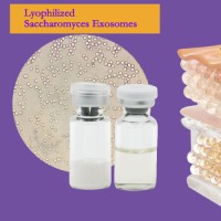 Lyophilized Saccharomyces Cerevisiae Exosomes
