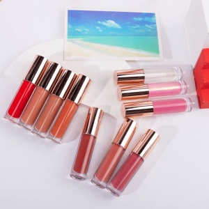 10 Color Private Label Vegan Lip Gloss Lip Plumper