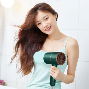 1500W Hair Dryer Travel Household Electric Hair Blow Dryer Hot Wind Low Noise Hair dryer