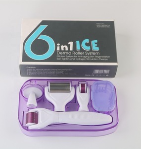 2019 Wrinkle Remover Feature 6 in 1 Microneedle Derma Rolling System with ice roller