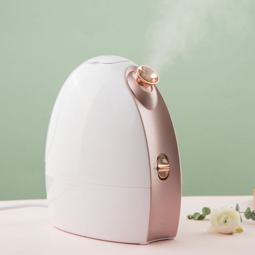 2021 new arrival portable skincare Professional Electric  Facial Steamer Nano Mist Sprayer