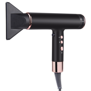 Brushless Motor 2000 hours lifetime professional salon hair air blow dryer lightweight bldc  dryer