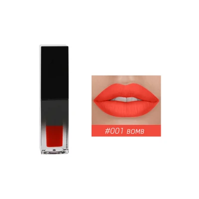 Matte Lip Glaze Moisturizing Makeup Lipstick Private Label Vegetarian and Cruelty-Free Lipgloss