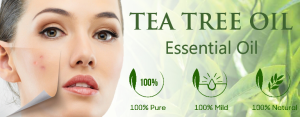 price in pakistan tea tree essential oil 100% natural