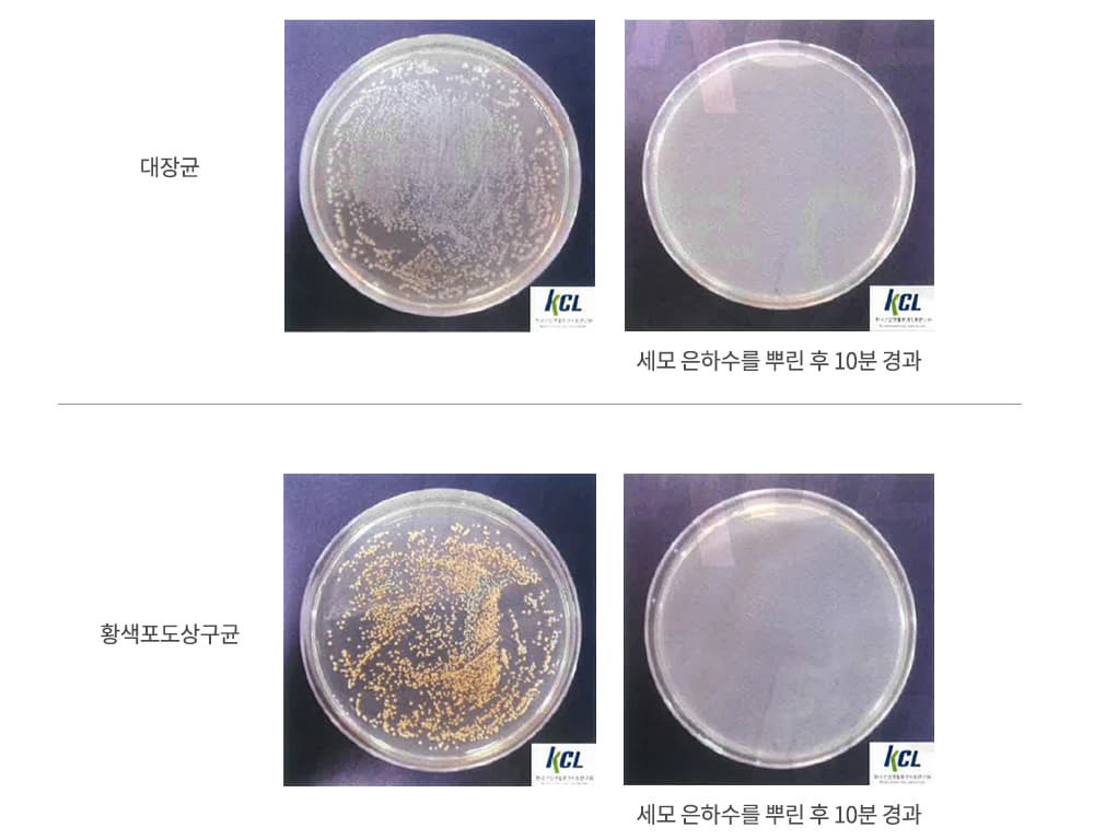 Sanitizer_SEMO Colloidal Silver 