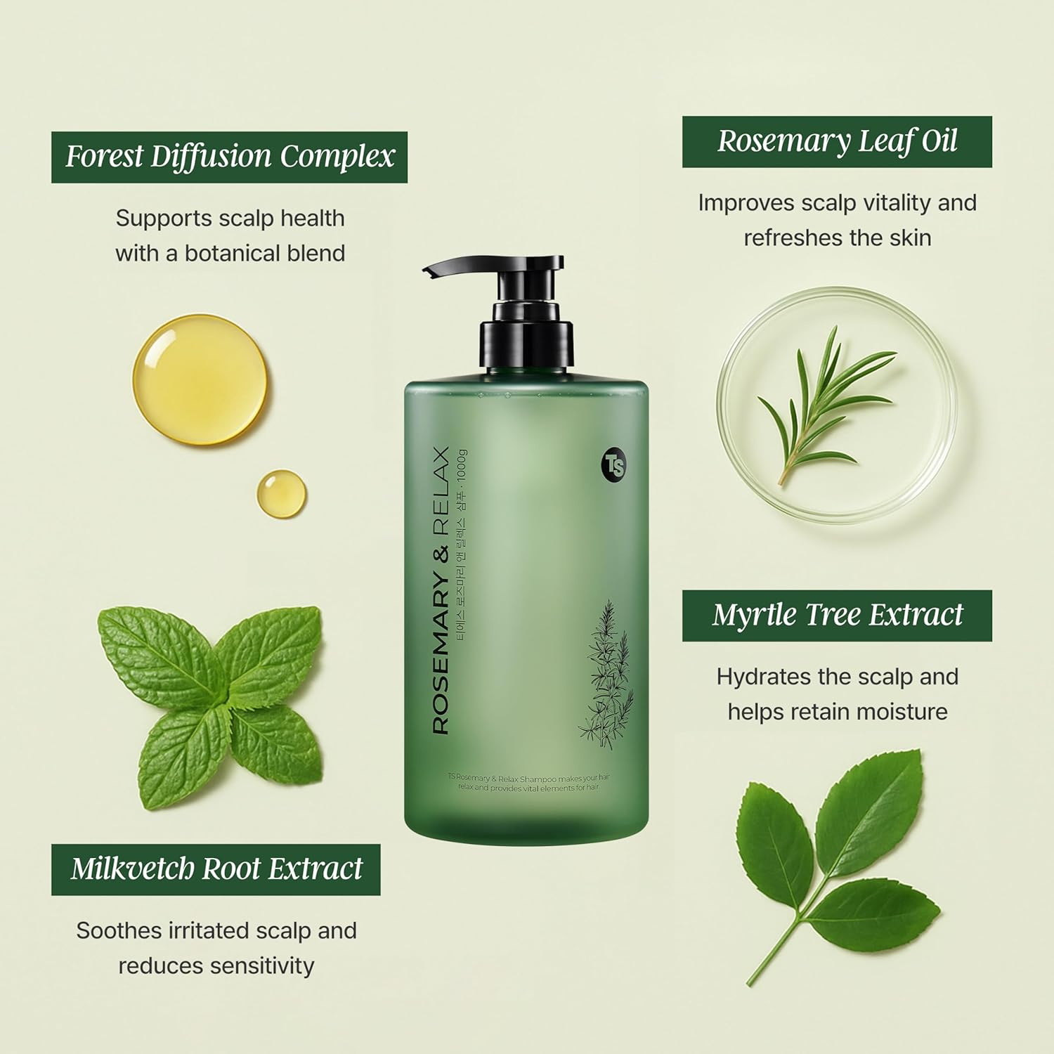 TS Rosemary &amp; Relax Shampoo(1000g) Hydrating &amp; Soothing  Natural Ingredients  Sulfate-Free  Korea