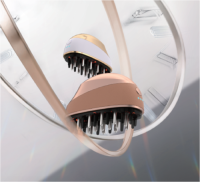 Multifunctional Skin Beauty Device