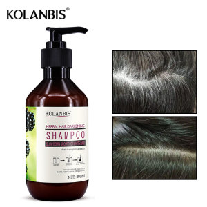2021 New Hot Selling Wholesale OEM/ODM Private Label  Black Hair Shampoo