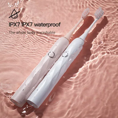 Adult Waterproof Personalized China Private Label USB Rechargeable Smart Ultrasonic Electronic Sonic Electric Toothbrush