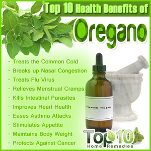 Bulk Oregano Essential Oil