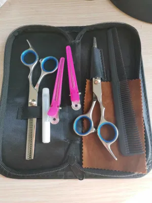 Cp-2p Fashion Models 420j2 Steel 5.5 Inch Beauty Shears Hair Scissors Set