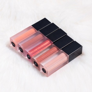 Custom Frosted Tube Liquid Lipstick Private Label Lip Gloss Clear Lip Gloss Tubes With Wands