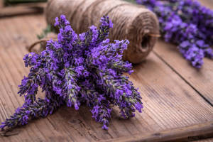 Pure Lavender essential oil