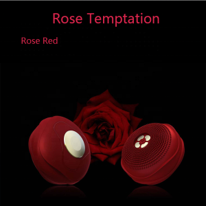 Waterproof Massager Private Label Wireless Electric Sonic Silicone Face Facial Cleansing Brush