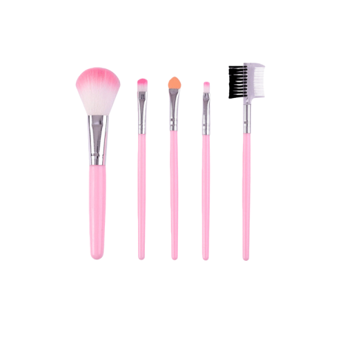 5pcs Beauty Makeup Brush Set Eyeshadow Blush Foundation Brush Makeup Tool Set