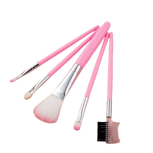 5pcs Beauty Makeup Brush Set Eyeshadow Blush Foundation Brush Makeup Tool Set
