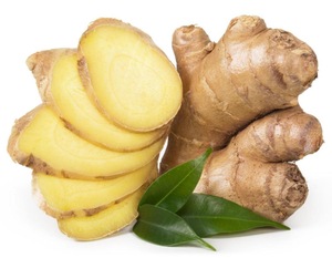 100% Pure and Natural with high quality Ginger Spice Essential Oil