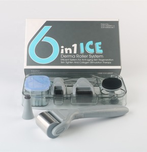 2019 Wrinkle Remover Feature 6 in 1 Microneedle Derma Rolling System with ice roller