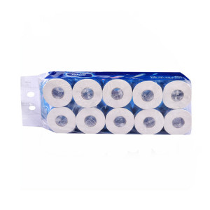 Custom Design WT-013 Sanitary Roll Toilet Paper