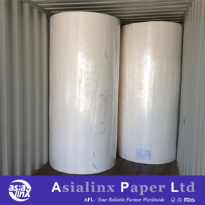 Virgin Wood Pulp Tissue Reels Raw Material for Making Tissue Papers