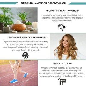 Wholesale Organic Bulk Massage Essential Oil 100% Pure Lavender Oil