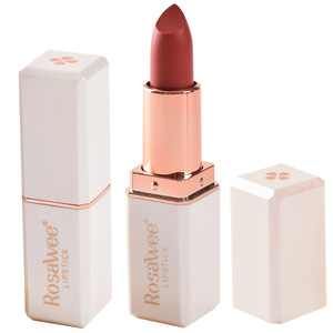 Wholesale Private Label Makeup Custom Logo Lipstick Longlasting Matte Lipstick