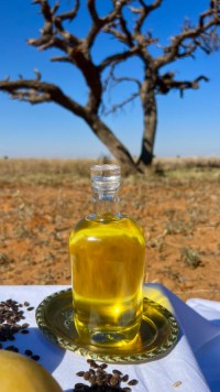 Organic Kalahari Melon Seed Oil – Cold Pressed High Vitamin E, Linoleic Acid