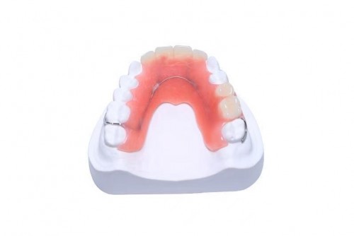 Valplast partial