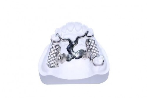 Valplast partial
