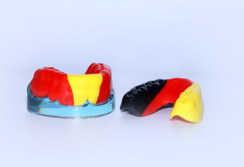Valplast partial
