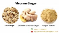 Vietnam ginger export products