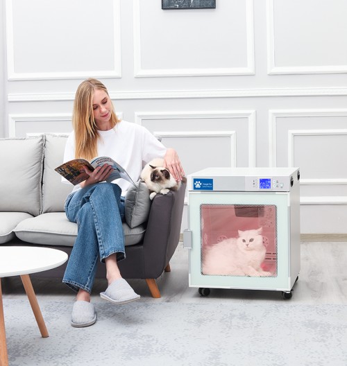 Popular Stylish Intelligent Pet Drying Box Machine For