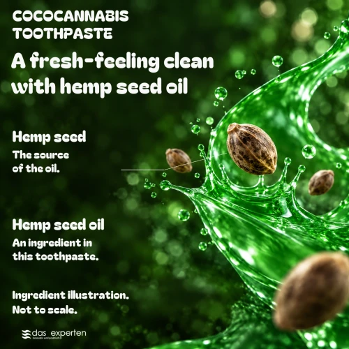 Das Experten COCOCANNABIS Hemp Seed Oil Toothpaste, 70 ml