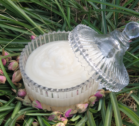 EcoCeramide LCS