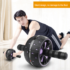 Exercise Fitness Gym Equipment Original Factory Abdominal Muscle AB Wheel Roller Wheel with Mat