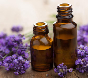 lavender essential wholesale Single Bottle Essential Oil perfume base oil