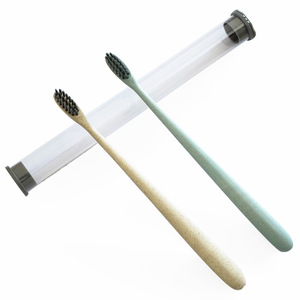 Wholesale Agent Wanted Charcoal Toothbrush