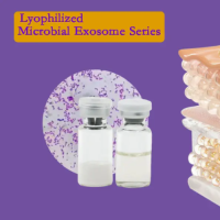 Lyophilized Lactobacillus Exosomes