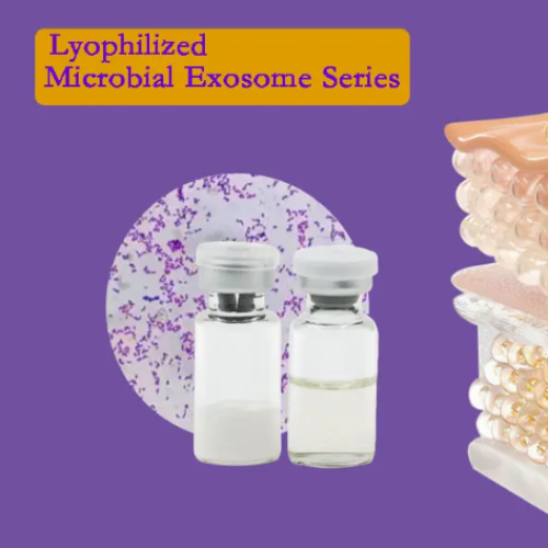 Lyophilized Lactobacillus Exosomes