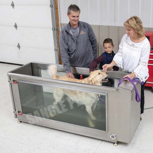 Canine Treadmill for water hydrotherapy,underwater treadmills for pets