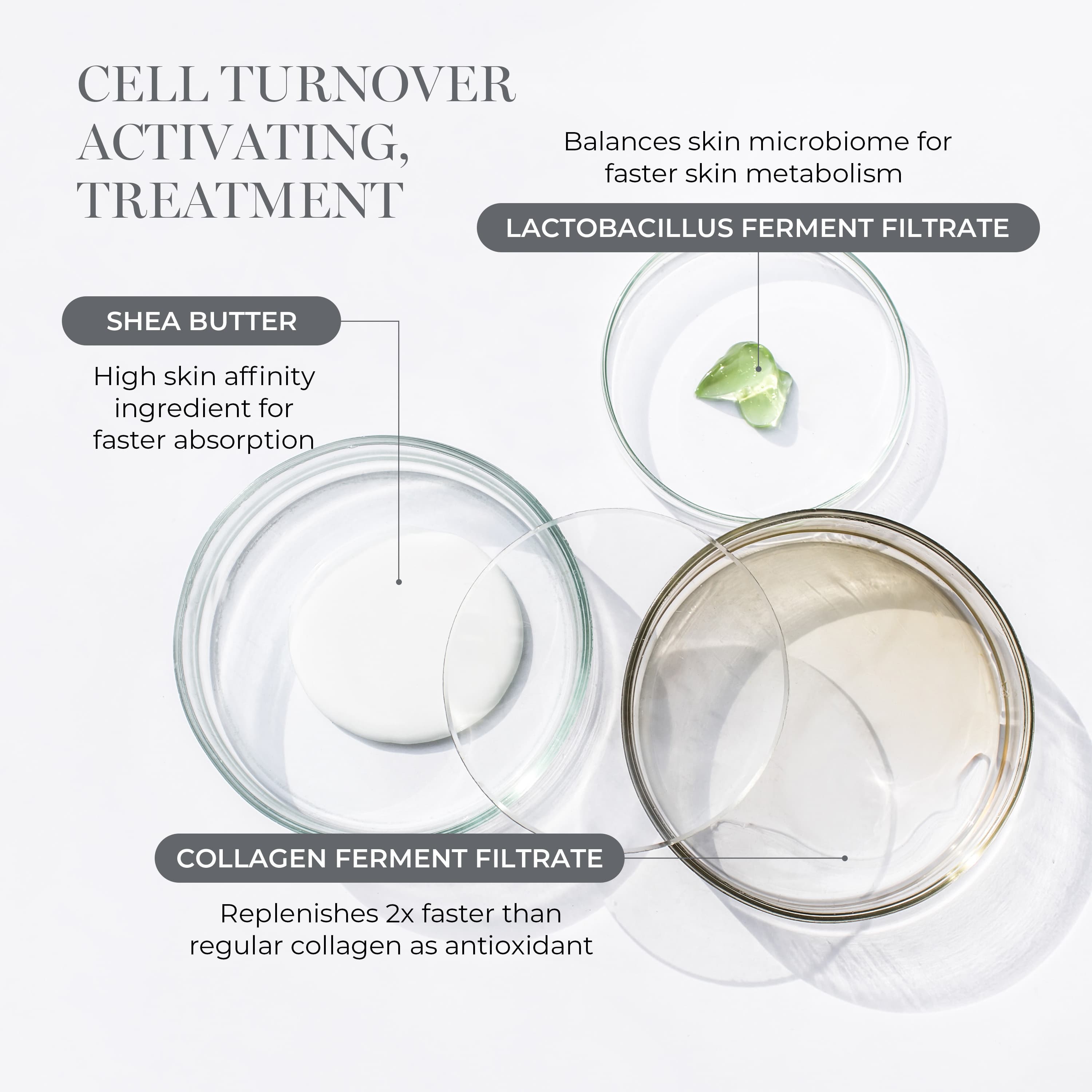 [COSHEAL] Age Defying Eye Cream for Face