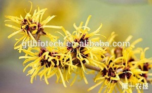 Factory Supply HAMAMELIS VIRGINIANA FLOWER WATER Hydrosol