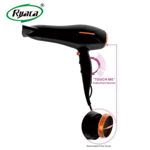 Hot Selling Salon Professional DC Motor with Concentrator/Diffuser/Ionic and Induction Function Professional blow Hair dryer